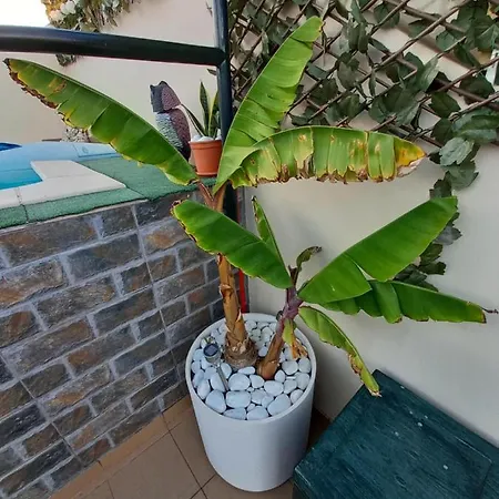 Apartamento Atico Con Piscina Privada